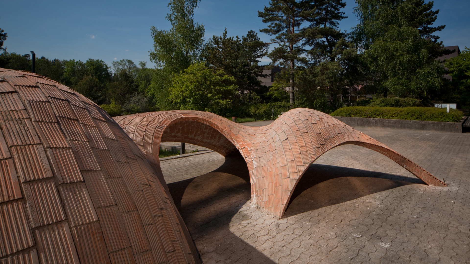 Freeform Timbrel Vault